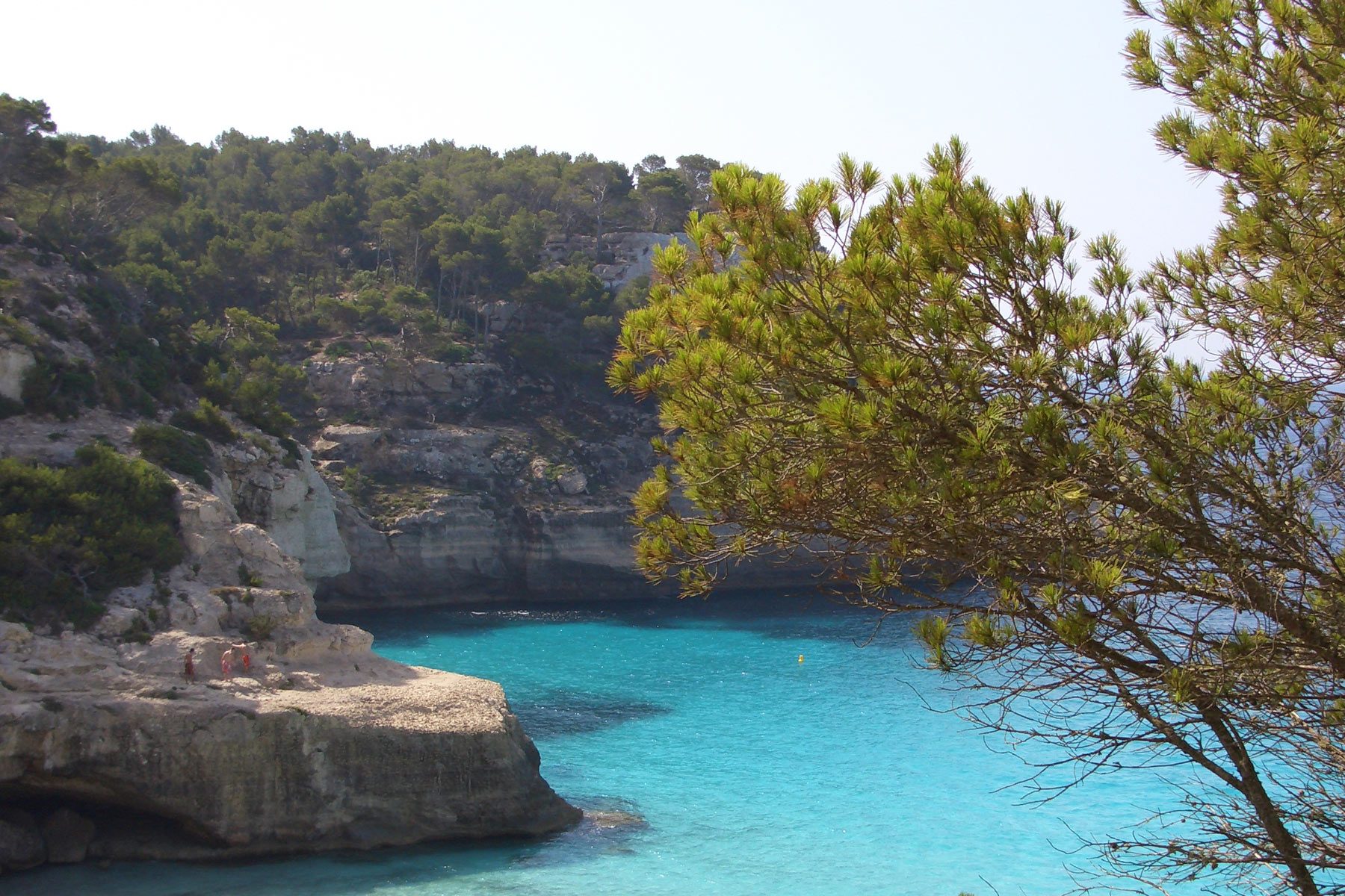 En la Isla de Cabrera